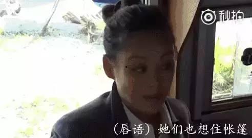 娱乐圈互相吃瓜
